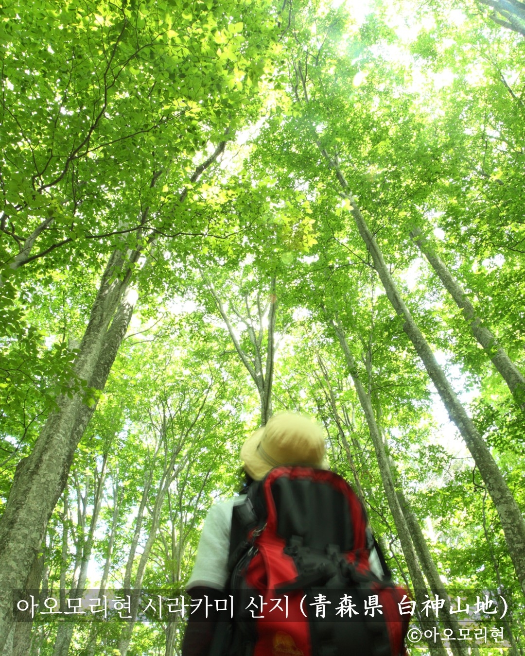 아오모리현 소개 인스타그램 콘텐츠