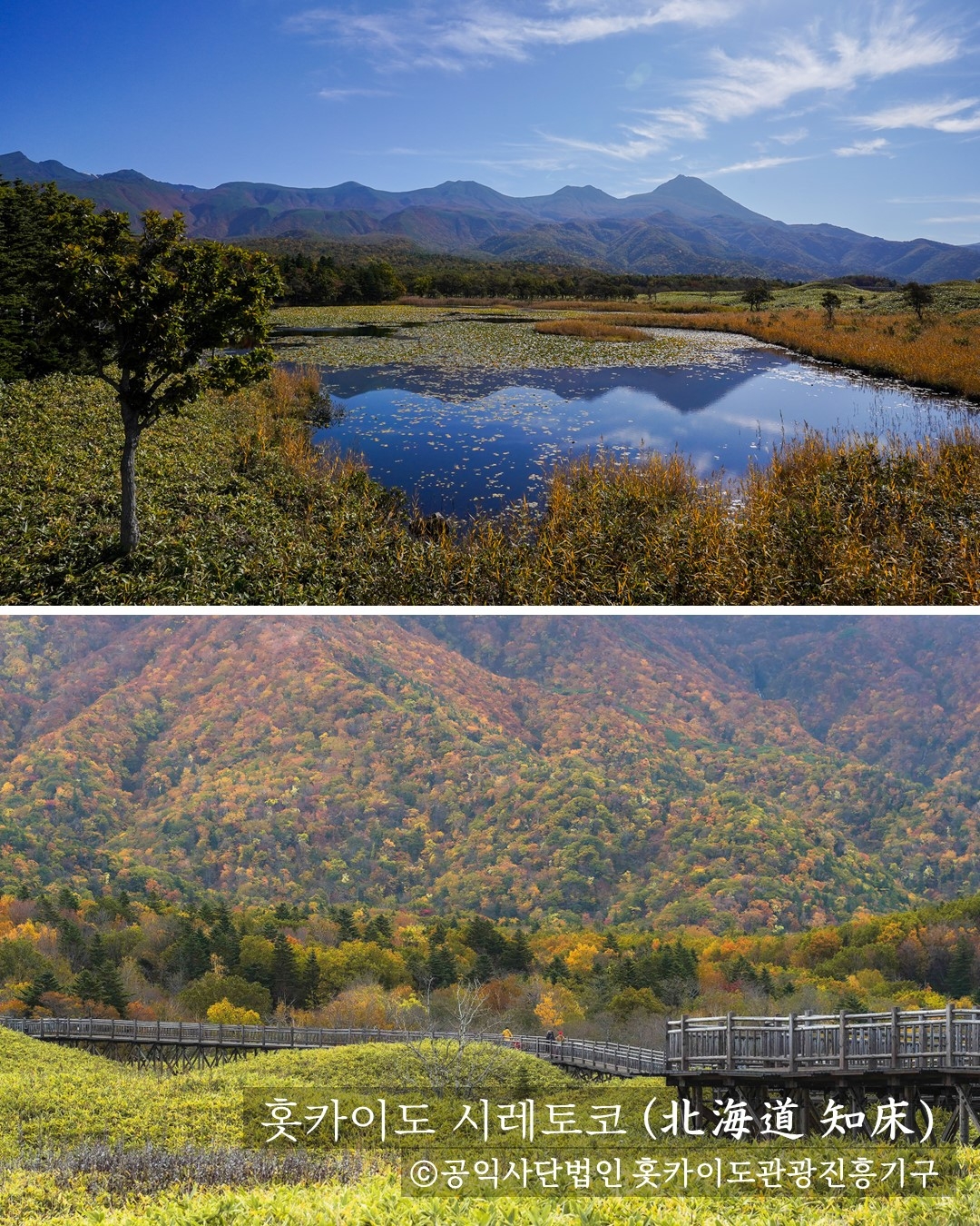 홋카이도 소개 인스타그램 콘텐츠