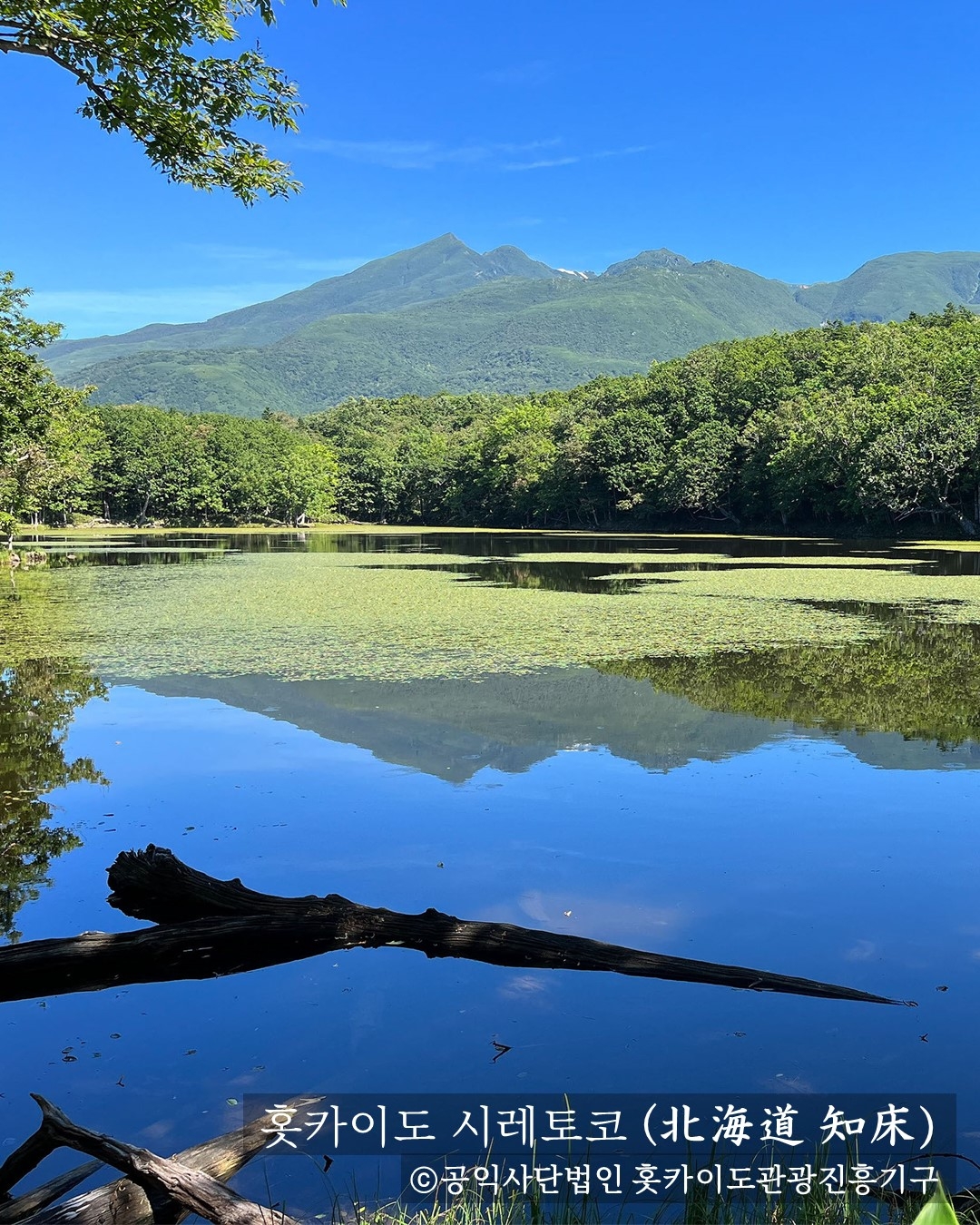 홋카이도 소개 인스타그램 콘텐츠