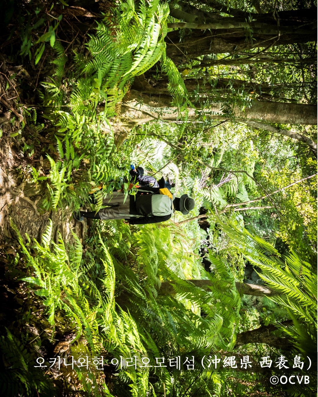 오키나화현 소개 인스타그램 콘텐츠