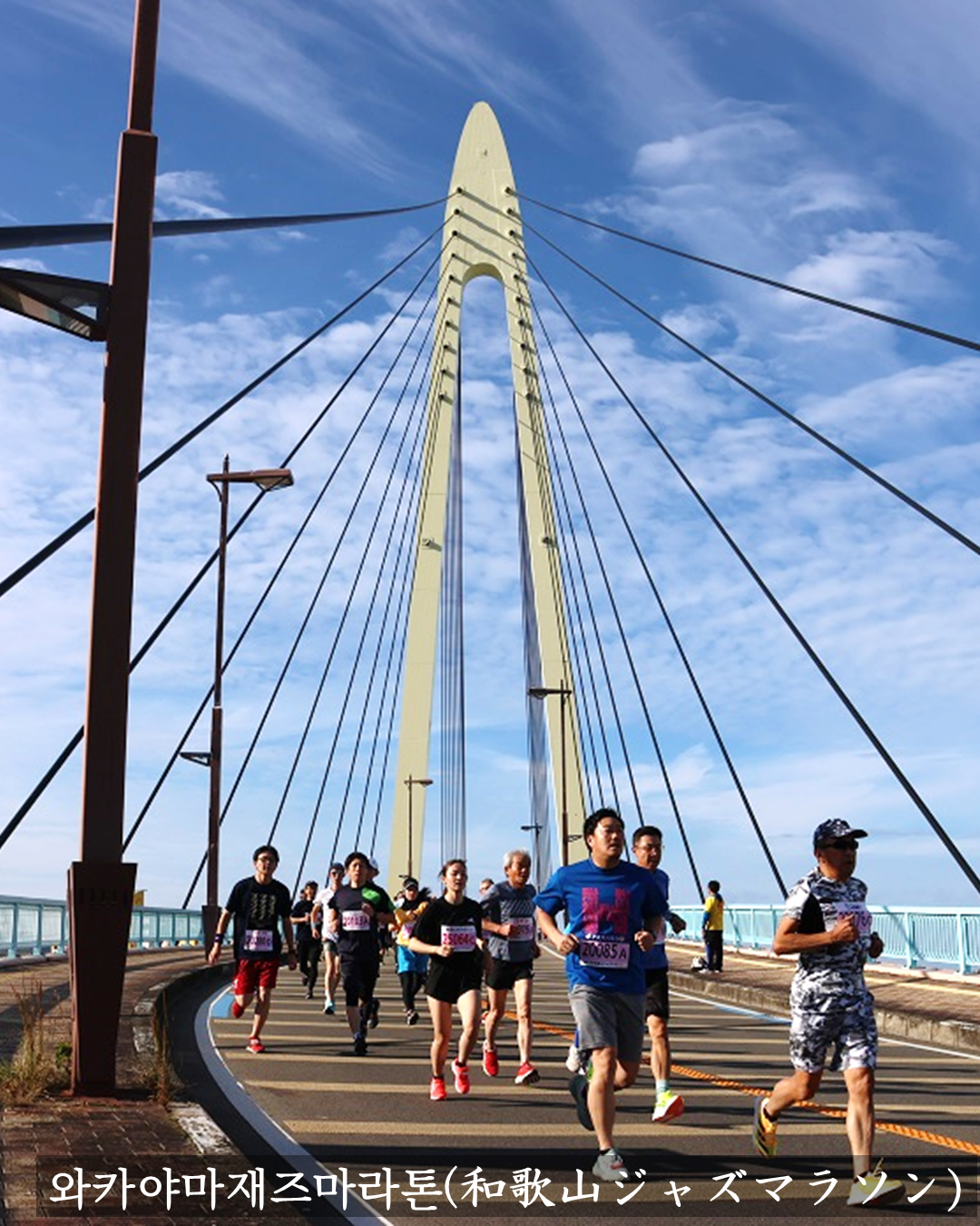 와카야마시 제주 홍보 부스 운영